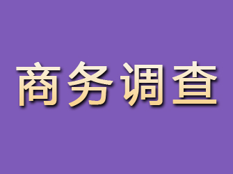 三门峡商务调查